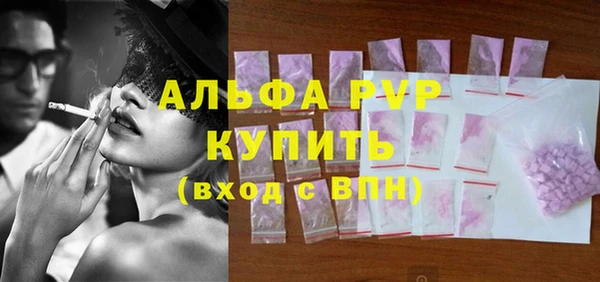 PSILOCYBIN Богданович