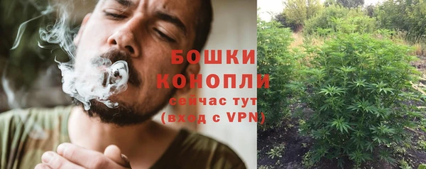 PSILOCYBIN Богданович
