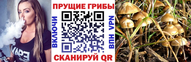 МЕГА ссылка  Иркутск  Псилоцибиновые грибы Magic Shrooms 
